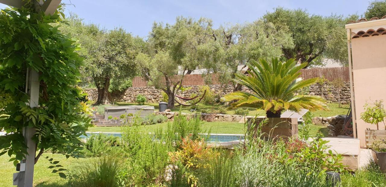 La Bastide Aux Oliviers Hotel Турет-сюр-Лу Екстериор снимка