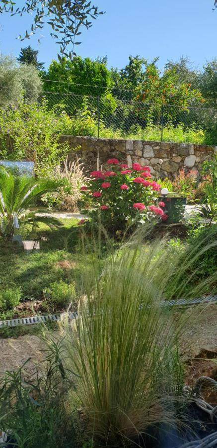 La Bastide Aux Oliviers Hotel Турет-сюр-Лу Екстериор снимка