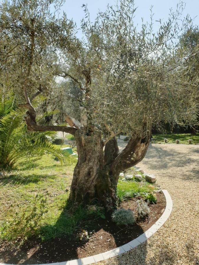 La Bastide Aux Oliviers Hotel Турет-сюр-Лу Екстериор снимка